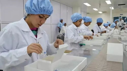 古巴抗癌疫苗取得新進(jìn)展，為攻克實(shí)體瘤帶來新希望